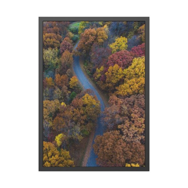 93830-141.jpg Forest in Autumn Colors Framed Poster