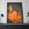 Orange Lily Framed Poster