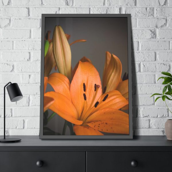 Orange Lily Framed Poster
