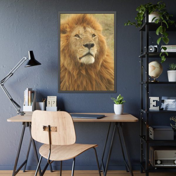 Lion Closeup Africa Framed Poster