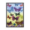 93830-28.jpg Butterfly Painting Art Graphic Framed Poster