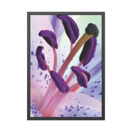 Beautiful Lily Framed Poster