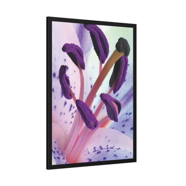 Beautiful Lily Framed Poster
