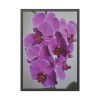 Exotic Orchid  Framed Poster