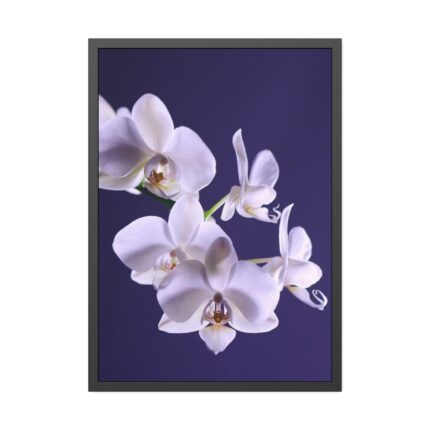 Blue Orchid Framed Poster