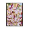 93830-60.jpg Boat Orchid Framed Poster