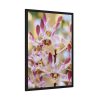 93830-61.jpg Boat Orchid Framed Poster