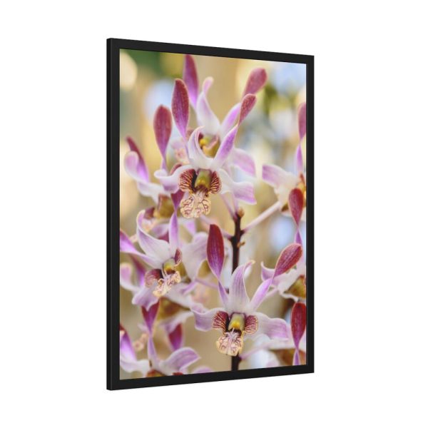 93830-61.jpg Boat Orchid Framed Poster