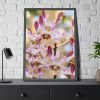 93830-63.jpg Boat Orchid Framed Poster