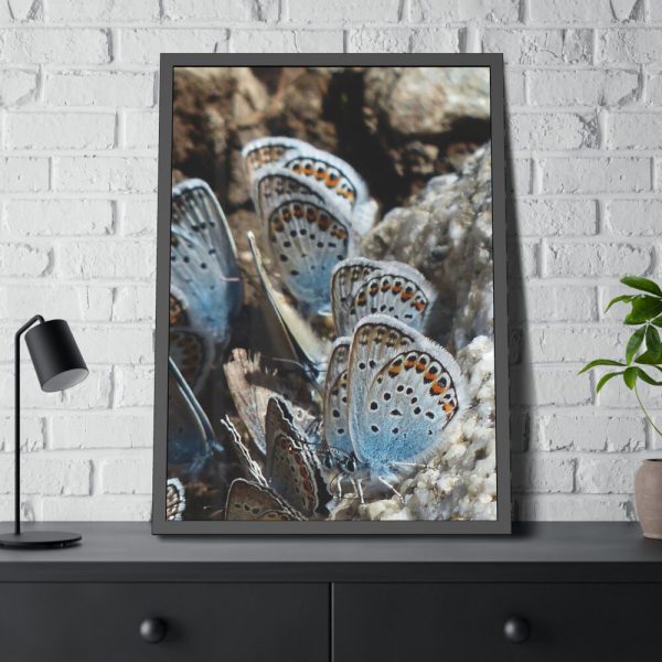 93830-67.jpg Blue Butterflies Framed Poster