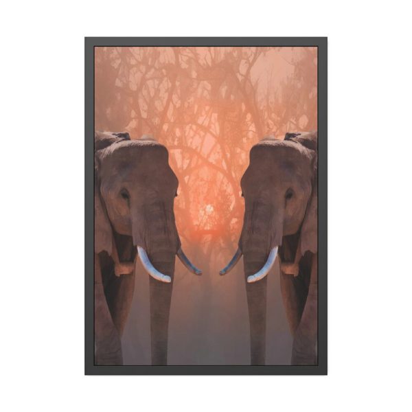 Two Elephants in the Zoo Framed Poster