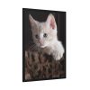 93830-85.jpg Kitten with Blue Eyes Framed Poster