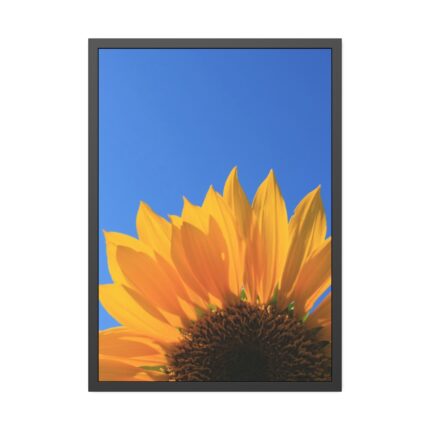 Sunflower Blue Sky Framed Poster