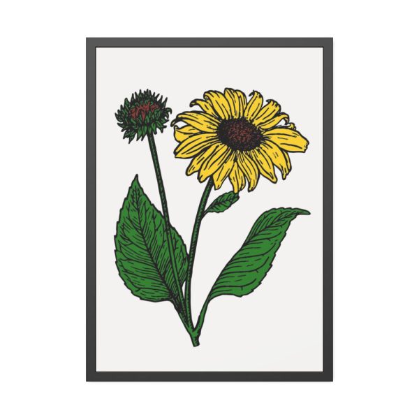 93831-100.jpg Sunflower Illustration Framed Poster