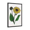93831-101.jpg Sunflower Illustration Framed Poster