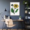 93831-102.jpg Sunflower Illustration Framed Poster