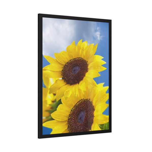 93831-105.jpg Sunflower Flower Air Clouds Framed Poster