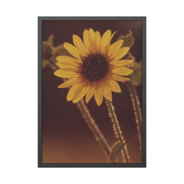 93831-128.jpg The Sunflower is Blooming Framed Poster