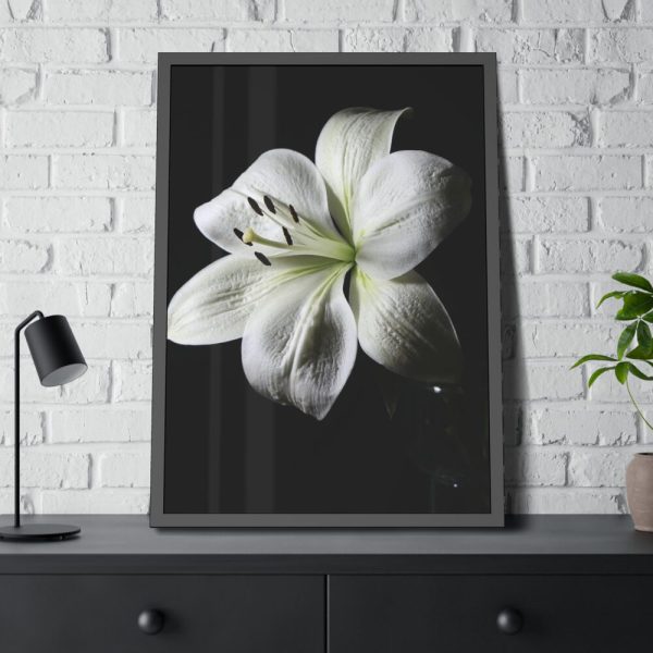 White Lily Framed Poster