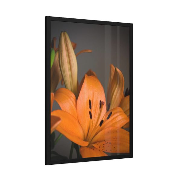 Orange Lily Framed Poster
