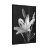 Lilies Flower  Framed Poster