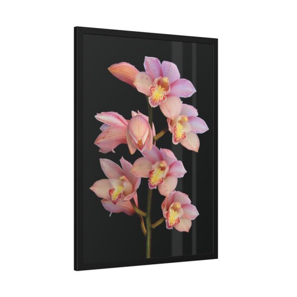93831-49.jpg Pink Boat Orchid Framed Poster