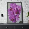 Exotic Orchid  Framed Poster