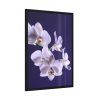 93831-57.jpg Blue Orchid Framed Poster