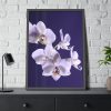 93831-59.jpg Blue Orchid Framed Poster