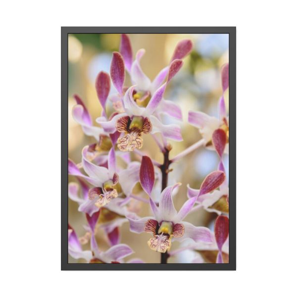 93831-60.jpg Boat Orchid Framed Poster