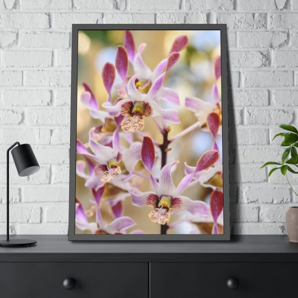 93831-63.jpg Boat Orchid Framed Poster