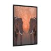 Two Elephants in the Zoo Framed Poster