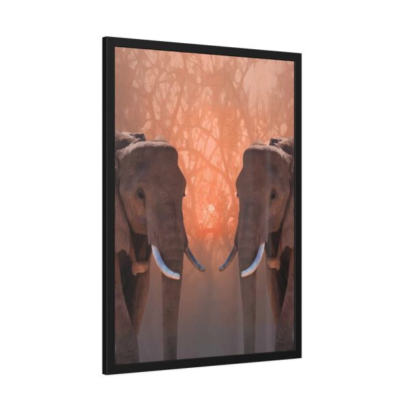 Two Elephants in the Zoo Framed Poster