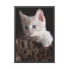 93831-84.jpg Kitten with Blue Eyes Framed Poster