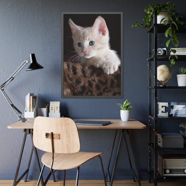 93831-86.jpg Kitten with Blue Eyes Framed Poster