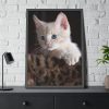93831-87.jpg Kitten with Blue Eyes Framed Poster