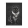 Black Silver Maine Coon Cat Sitting Framed Poster