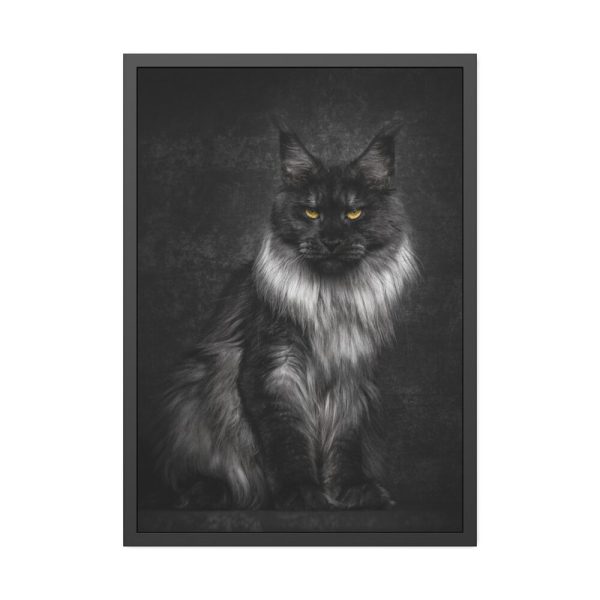 Black Silver Maine Coon Cat Sitting Framed Poster