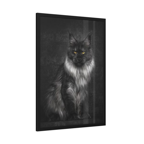 Black Silver Maine Coon Cat Sitting Framed Poster