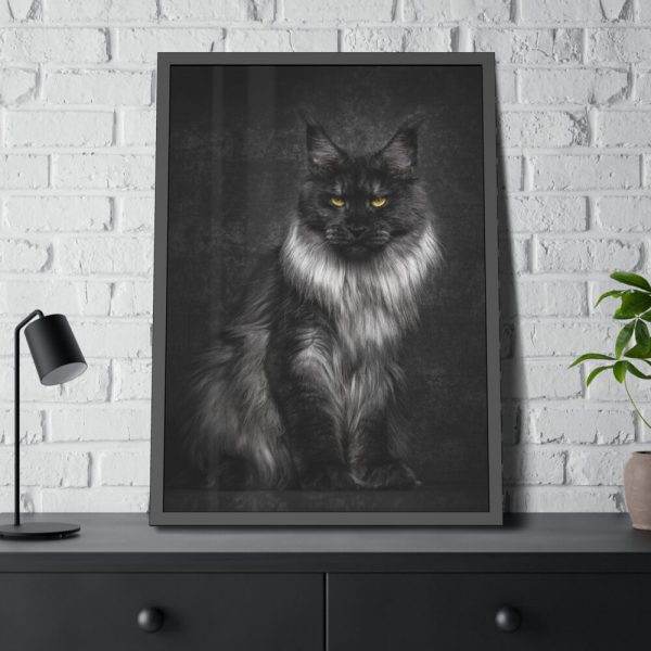 Black Silver Maine Coon Cat Sitting Framed Poster