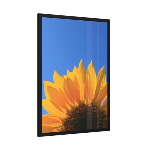 93831-93.jpg Sunflower Blue Sky Framed Poster