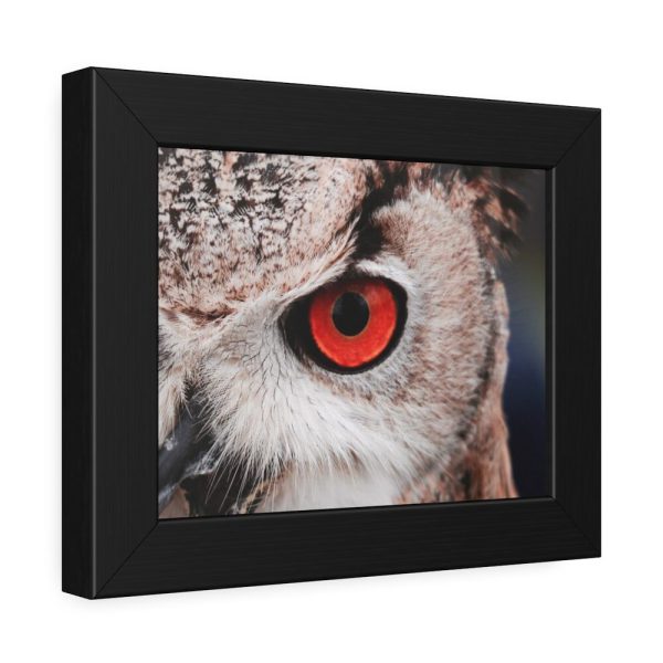 93836-29.jpg Eye of Owl Framed Poster