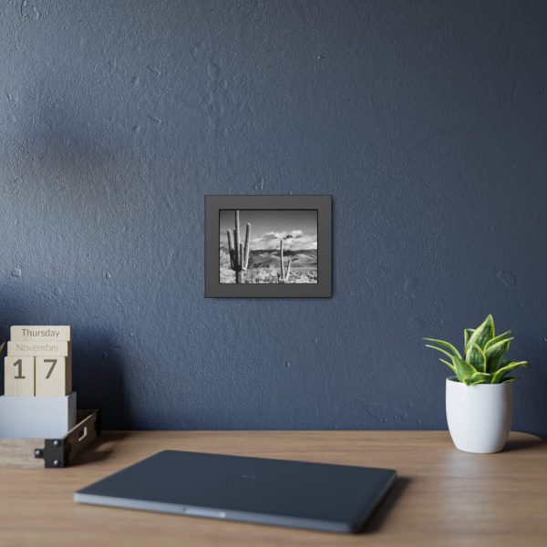 93837-10.jpg Black and White Cactus in Desert Framed Poster