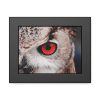 93837-28.jpg Eye of Owl Framed Poster