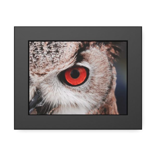 93837-28.jpg Eye of Owl Framed Poster