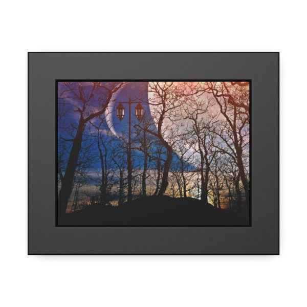 93837-36.jpg Full Moon and Forest Night Darkness Framed Poster