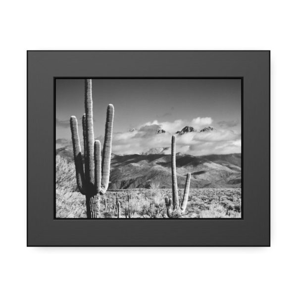 93837-8.jpg Black and White Cactus in Desert Framed Poster