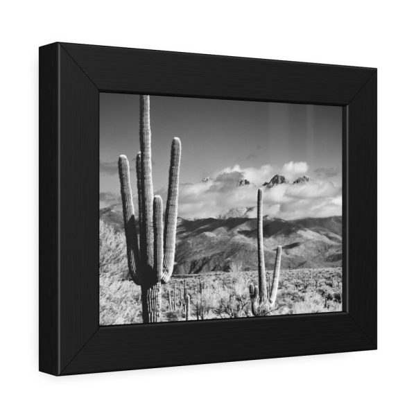 93837-9.jpg Black and White Cactus in Desert Framed Poster