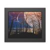 93839-8.jpg Full Moon and Forest Night Darkness Framed Poster
