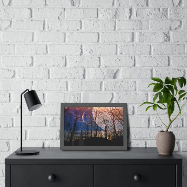 93842-11.jpg Full Moon and Forest Night Darkness Framed Poster